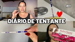 DIÁRIO DE TENTANTE  01 OVULEI E FIZ UM TESTE DE GRAVIDEZ ♥️ [upl. by Marleen]