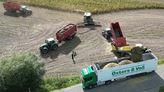 CLAAS JAGUAR 960 am Mais häckseln amp Überladen auf LKW´s  DEHR AGRARSERVICE amp OSTERS amp VOß  4K [upl. by Xet]