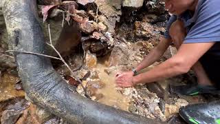 gold prospecting gold trend today gold searching video [upl. by Watters245]