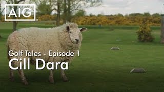 Golf Tales – Episode 1 Cill Dara [upl. by Ahsiekit]