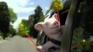 New Geico Piggy Commercial Remix [upl. by Shoemaker]