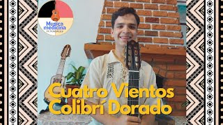 Tutorial guitarra Cuatro Vientos y Colibrí Dorado Danit Treubig Guitar tutorial [upl. by Jews]