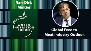 World Nutrition Forum 2018  NanDirk Mulder  Global Feed to Meat Industry Outlook [upl. by Bonnie]