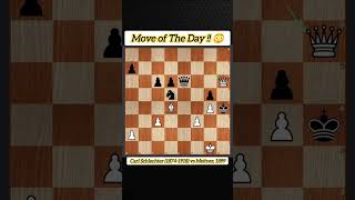 Move of The Day  😳  Carl Schlechter 18741918 vs Meitner 1899 chess puzzle shorts [upl. by Valdis938]