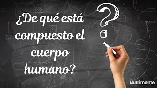 ¿De qué está compuesto el cuerpo humano [upl. by Dnalevets]