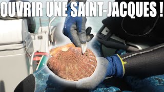 Comment Ouvrir une Coquille SaintJacques  TUTORIEL [upl. by Temhem]