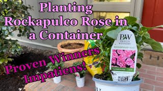 Planting Rockapulco Rose Impatiens by Proven Winners in Container [upl. by Wiley]