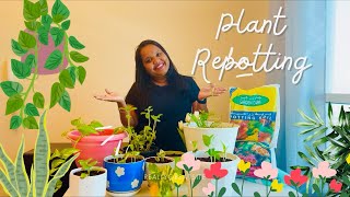 A Day Of Plant Care🌱🇦🇪  A Positive Day  Anjali Sreedharan  Malayalam Vlog  Aesthetic  Dubai🇦🇪 [upl. by Macpherson]