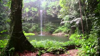 Sonido de Lluvia y los Animales del Bosque  HD Lluvia  Relajarse Dormir [upl. by Anelrac]