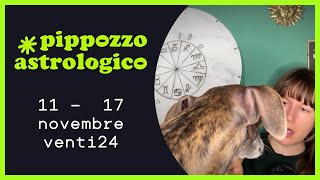 11  17 novembre venti24  Pippozzo Astrologico zodiaco astrologia [upl. by Milas]