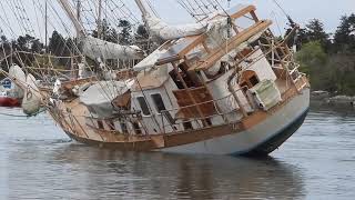 Video of Classic Schooner Statia Sailing Again after Being Refloated off Vancouver Island Goes Viral [upl. by Nove]