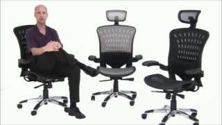 ErgoFlex Ergonomic Mesh Office Chair  Free Shipping [upl. by Enasus472]