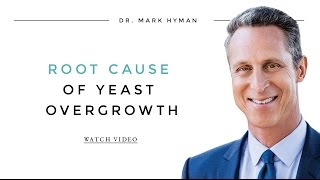 Root Cause of Yeast Overgrowth [upl. by Alysia751]