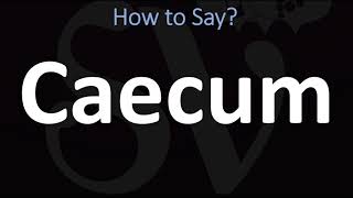 How to Pronounce Caecum CORRECTLY [upl. by Sapphire]