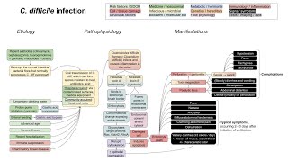 C diff infection mechanism of disease [upl. by Karlene]