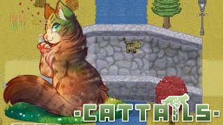 Pawing Our Way into Mystic Colony Territory 🐾 Cattails Mossies Journey  Episode 11 [upl. by Lrig941]