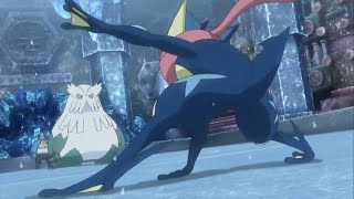 Pokemon Greninja vs Abomasnow Part 1 [upl. by Aubrette104]