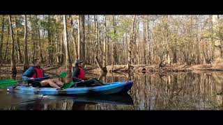 Congaree National Park 112724 [upl. by Shauna392]