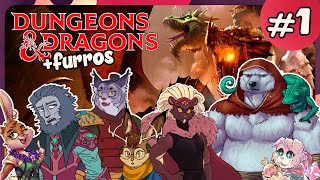 Calabozos Dragones y Furros  DnD Furrolandia 1 [upl. by Anneuq]