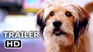 BENJI Trailer 2018 Emotional Sentimental Netflix Movie [upl. by Mcgannon]