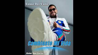 Cambiaste Mi Vida  Cesar Del Valle [upl. by Pohsib]