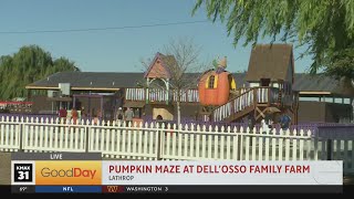 DellOsso Family Farms Lathrop [upl. by Nessnaj]