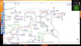 zoom Chem241 12 9 20 Segment 2 [upl. by Nysilla]