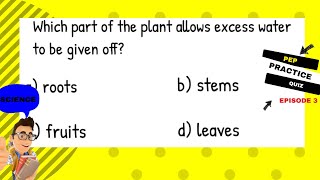 Grade 6 Science Test Questions with Answers Study Bites Episode 3 [upl. by Ariek]