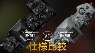 Olympus OMD EM1 Mark III と Olympus OMD EM5 Mark III の仕様比較 [upl. by Noitsirhc692]