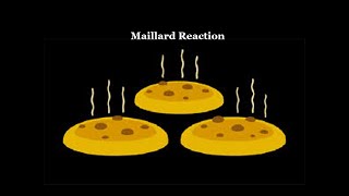 Maillard Reaction [upl. by Brigid147]