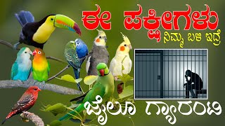 STOP KEEPING INDIAN BIRDS OR ANIMALS AS A PET ITS A ILLEGAL IN INDIA [upl. by Nylahs929]