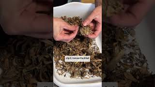 How to Easily Save Zinnia Seeds It’s so Easy homegrowngardens garden flowers [upl. by Flint]