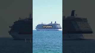 Should you take a short or long cruise First time cruisers firsttimecruiser [upl. by Kolnos]