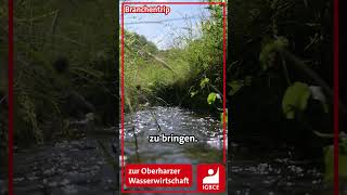 Branchentrip zur Oberharzer Wasserwirtschaft [upl. by Nnaylrebmik557]