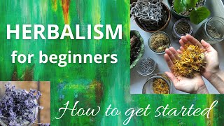 Herbalism for beginners  How to get started [upl. by Shandeigh]