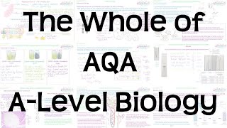 The Whole of AQA ALevel Biology  Exam Revision for Papers 1 2 and 3 [upl. by Lynnell635]