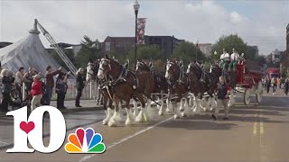 Budweiser Clydesdales makes special appearance at ribbon cutting on renovated Sunsphere [upl. by Asila]