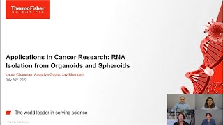 RNA Extraction from Organoids and Spheroids [upl. by Dail]