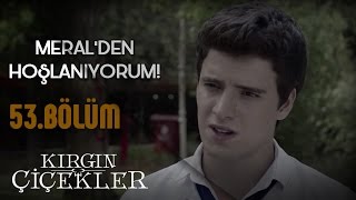 Kırgın Çiçekler 53Bölüm  Meral’den hoşlanıyordum [upl. by Evvy802]