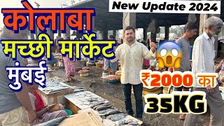 COLABA FISH MARKET IN MUMBAI 2024 Sassoon Dock Fish Colaba In Mumbai Wholesale and Retail market [upl. by Thay]