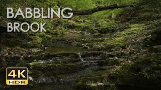 4K HDR Babbling Brook  Trickling Forest Creek  Water Sounds  Relaxing Nature Video [upl. by Dlanar]