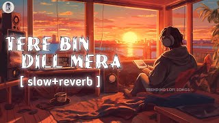 Tere Bin dill mera  without you  Slow and Reverb  Lofi  Hindi  Slow and Reverb songs lofi [upl. by Adiv]