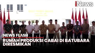 Wamen UMKM Resmikan Rumah Produksi Cabai di Batubara  News Flash [upl. by Elka196]