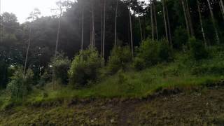 MACCLESFIELD FOREST EVP SPIRIT VOICES WORSLEY PARANORMAL GROUP [upl. by Sinai]