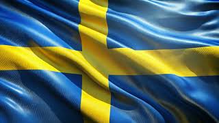 Flag of Sweden  Sveriges flagga  Ladda ner gratis eller köp i hög kvalitet  Bakgrundsbakgrunder [upl. by Naldo]