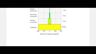 Energy Flow Outline 2024 [upl. by Effie119]