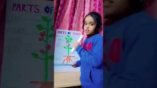 Parts Of PlantScience ExhibitionShort Nidhisha Verma [upl. by Von]