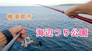 【海辺つり公園】神奈川県横須賀市の釣り施設でサビキ釣りの二刀流で挑んでみると🎣 [upl. by Crandell16]