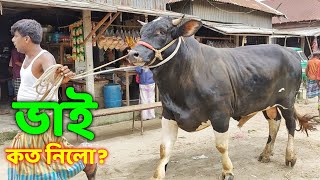 Bhai Koto Nilo Paragram Hozrotpur Gorur Haat 2022  Part 33  Qurbani Cow Price in Bangladesh [upl. by Mauve]