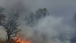 Großbrand bei Ottweiler wütet auf 20 Hektar – Feuer mittlerweile unter Kontrolle [upl. by Dusa]